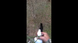 Taking Poking the Bear to the Next Level