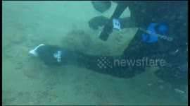 While scuba diving we found this toy car and filmed it doing underwater stunts, sound effects are epic