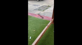 Hurt Snake Slithers Into Bar