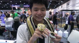 Exotic snakes, including boa constrictors, on display at Thailand's largest pet fair