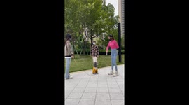 Skipping with Teddy: a fun afternoon of exercise and play in Chongqing