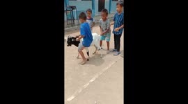 Kid's goat riding adventure takes a dangerous turn: a fall on the stomach