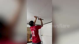 Father smashes hole in their home’s ceiling to rescue trapped kittens