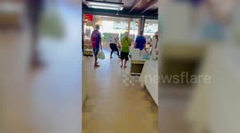 Cook drags away large monitor lizard caught rampaging through restaurant
