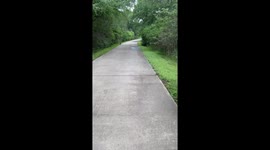 None Shall Pass Without Being Hissed At