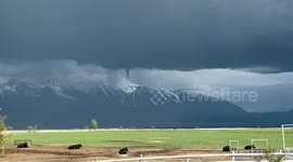 Rare Sighting Of Montana Twister