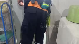 Snake caught in family's bathroom after lunging at woman sitting on toilet