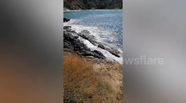 Russian tourist missing after 'being hit by wave while posing for selfies' on Thai beach