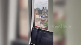 Pet dog tries and fails to steal shirt hanging from clothesline in Mexico