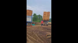 Forklift maestro astounds with impeccable wooden plank loading skills