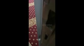 Unintentional collision: young girl in mosque runs into pillar while being recorded