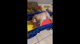 Turner Falls Asleep Anywhere