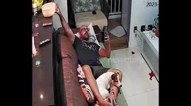 The Dog Just Wants Some Popcorn