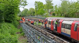 Fallen tree suspends Northern Line as commuters face travel delaysas