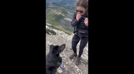 That's One Way To Hydrate Your Dog