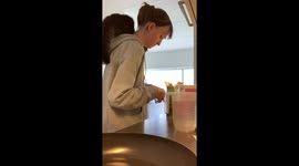 Cat Keeps Owner Company