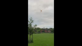 Air ablumance lands in feild