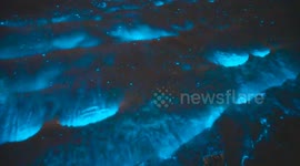MUST SEE: Ethereal scene as bioluminescent algae illuminate sea in the Netherlands