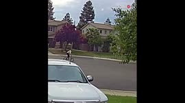 Boy trying to do a wheelie on his bike fails hard *Epic Faceplant*