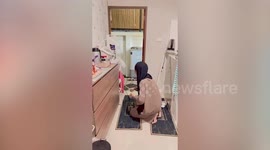 Shocked homeowner finds thin snake hiding under washing machine