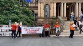 Protest against live animal exports, Sydney Australia