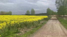 Discovery of blocked Public Right of Way Footpath - 1/2