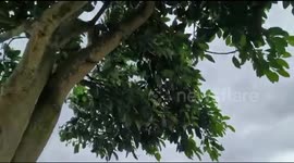 Cyclone Mocha going to make a landfall today , early footage from Cox's bazar , Rohingaya refugee camp in Bangladesh