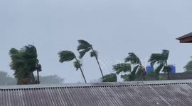 Palm trees blown as Cyclone Mocha batters Myanmar