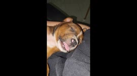 I'm Not Moving From This Chair Ever Again