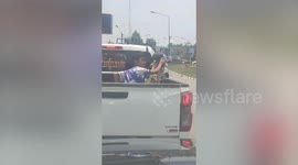 Helpful boy holds cap over dog’s head while sitting together on back of pickup truck