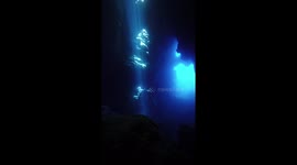 Being able to capture love underwater is incredible