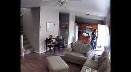 Dog Gets The Zoomies