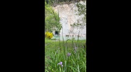 Two Months After Falling - Cliff Face on The Van Duzen River on May 12th 2023