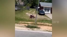 Amusing pet dog drives lawn mower outside home
