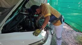 Two kittens that sheltered inside car engine rescued in family's garage
