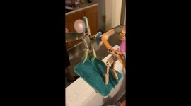 'Off with his head!' - Artist creates ingenious game by recycling broken skateboards