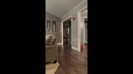 'Aliens got MOMMA!' - Mom runs after kids in a spooky alien costume