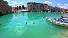 Beautiful and FUNNY view of a duck trying to go up of a buoy without success in a canal in Peschiera di Garda, Italy