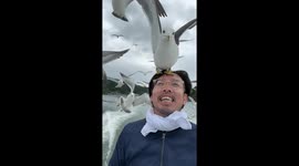 Seagull Wants To Nest On Husband's Head