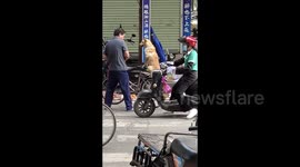 Adorable dog impresses passersby with bike-riding skills
