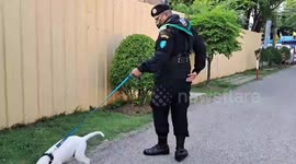 Hero police dog caught 'killer advertising tycoon who hacked his model girlfriend to death with a saw'