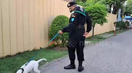 Murdered model, 24, styled herself on Marilyn Monroe before gruesome death in Thailand