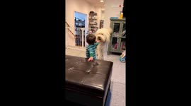 Baby boy and Goldendoodle puppy having a BLAST playing with each other