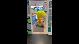 When you've to attend your gym class at 4 PM and a Halloween party at 6