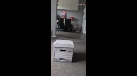 Girl surprised with new puppy nearly a year after losing her beloved dog that got her through tough times