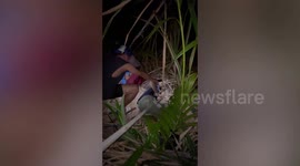 Family rescue missing pet dog's puppies after she gave birth in deep hole
