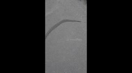 Megaworms Take An Exodus To The Promised Land