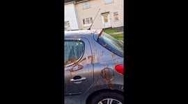 Car Is Covered In Icky Foods