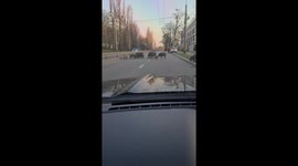 Wild Boars Stop Traffic in Poland