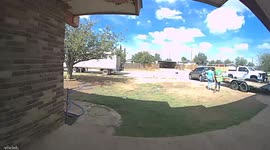 Boy Falls Over While Trying to Lift Bag of Dog Food